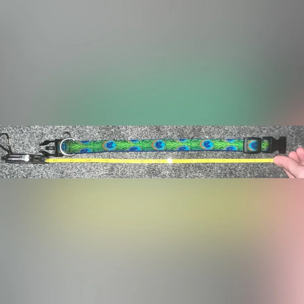🎉HOST PICK 🎉 *BRAND NEW/ NEVER USED* Green & Blue Peacock Dogs Collar